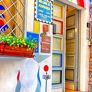 Vegan B&B Meuble Adriana Sirmione